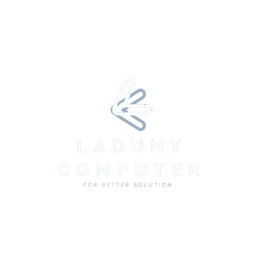 Laduny Computer